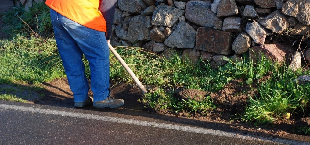 Immagine di copertina di: Servizio di Monitoraggio e Sorveglianza della rete Idrografica, la Cisal Calabria chiede “lumi” alla Regione